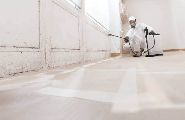24/7 Emergency Crawl Space Mold Removal experts in Bridgeport, TX